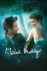 Mood Indigo 2013 on netflix