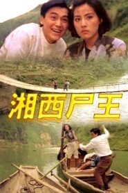 Kung Fu Vampire 1993 on netflix