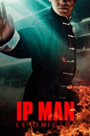 IP Man – Le origini 2020 on netflix