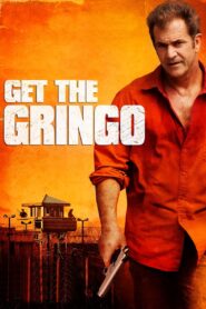 Get the Gringo 2012 on netflix
