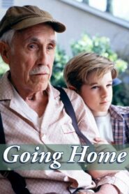 Going Home 2000 on netflix