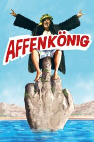 Monkey King 2016 on netflix