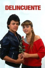 Street Wise 1984 on netflix