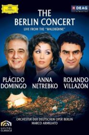 Das Waldbühnen-Konzert 2006 on netflix