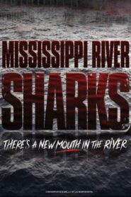Mississippi River Sharks 2017 on netflix