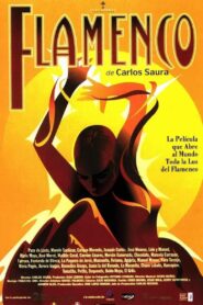 Flamenco 1995 on netflix