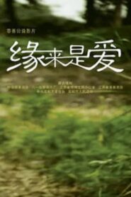 Blessed Destiny 2009 on netflix