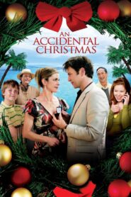 An Accidental Christmas 2007 on netflix