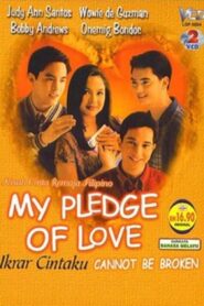 My Pledge of Love 1999 on netflix