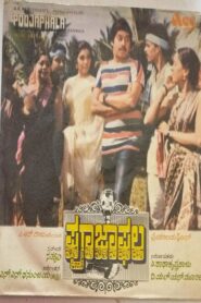 Pooja Phala 1984 on netflix