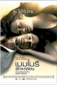 Memory 2008 on netflix