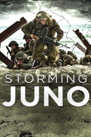 Storming Juno 2010 on netflix