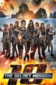 10: The Secret Mission 2017 on netflix