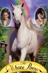 The White Pony 1999 on netflix