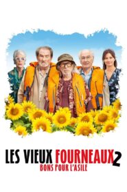 Tricky Old Dogs 2 2022 on netflix