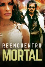 Reencuentro mortal 1996 on netflix