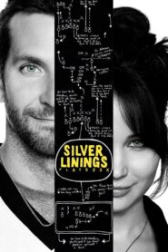 Silver Linings Playbook 2012 on netflix