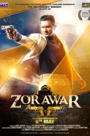 Zorawar 2016 on netflix