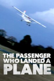Mayday: The Passenger Who Landed a Plane 2014 on netflix