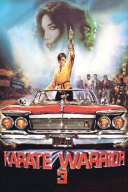 Karate Warrior 3 1991 on netflix