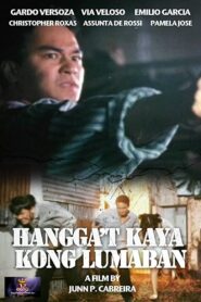 Hangga’t Kaya Kong Lumaban 1998 on netflix
