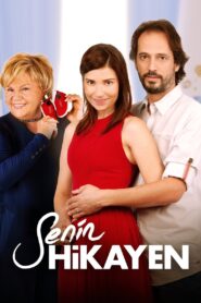 Your Story 2013 on netflix