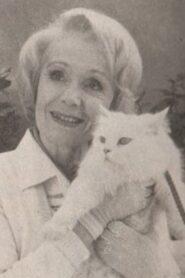 Comme chien et chat 1980 on netflix