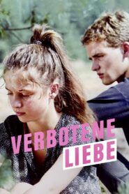 Forbidden Love 1990 on netflix