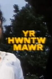 The Big Southerner 1983 on netflix