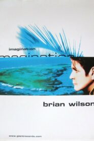 Brian Wilson’s Imagination 1998 on netflix
