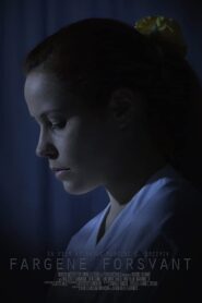 Fargene Forsvant 2014 on netflix