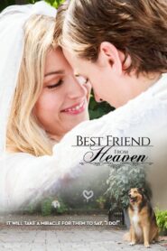 Best Friend from Heaven 2017 on netflix