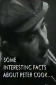Some Interesting Facts About Peter Cook 1995 on netflix
