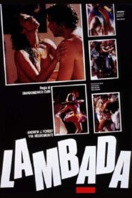 Lambada 1990 on netflix