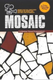 Mosaic 2003 on netflix