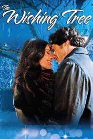 The Wishing Tree 2012 on netflix