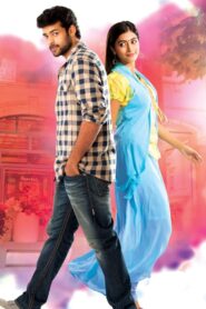 Mukunda 2014 on netflix