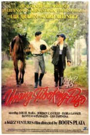 Unang Tibok ng Puso 1992 on netflix