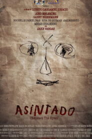 Asintado 2014 on netflix
