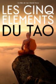 Balance of the Five Elements 2021 on netflix