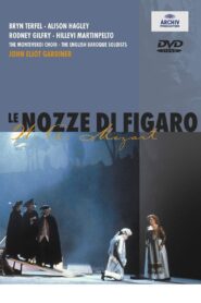 The Marriage of Figaro 1993 on netflix