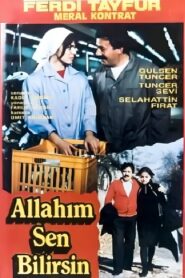 Allahım Sen Bilirsin 1989 on netflix