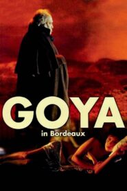 Goya in Bordeaux 1999 on netflix