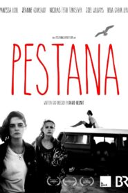 Pestana 2017 on netflix