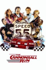 The Cannonball Run 1981 on netflix