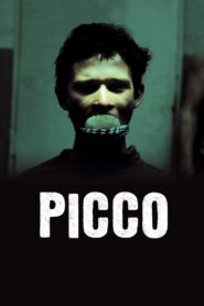 Picco 2011 on netflix