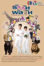 Confusedly In Love 2017 on netflix
