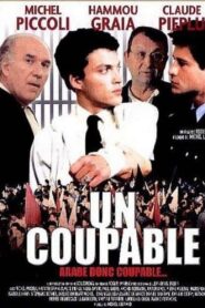 Un coupable 1988 on netflix