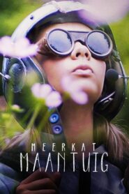 Meerkat Moonship 2018 on netflix