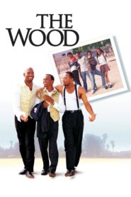 The Wood 1999 on netflix